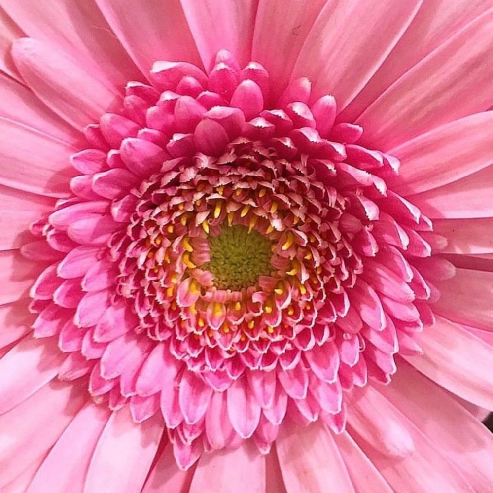 Meet your Posher, May